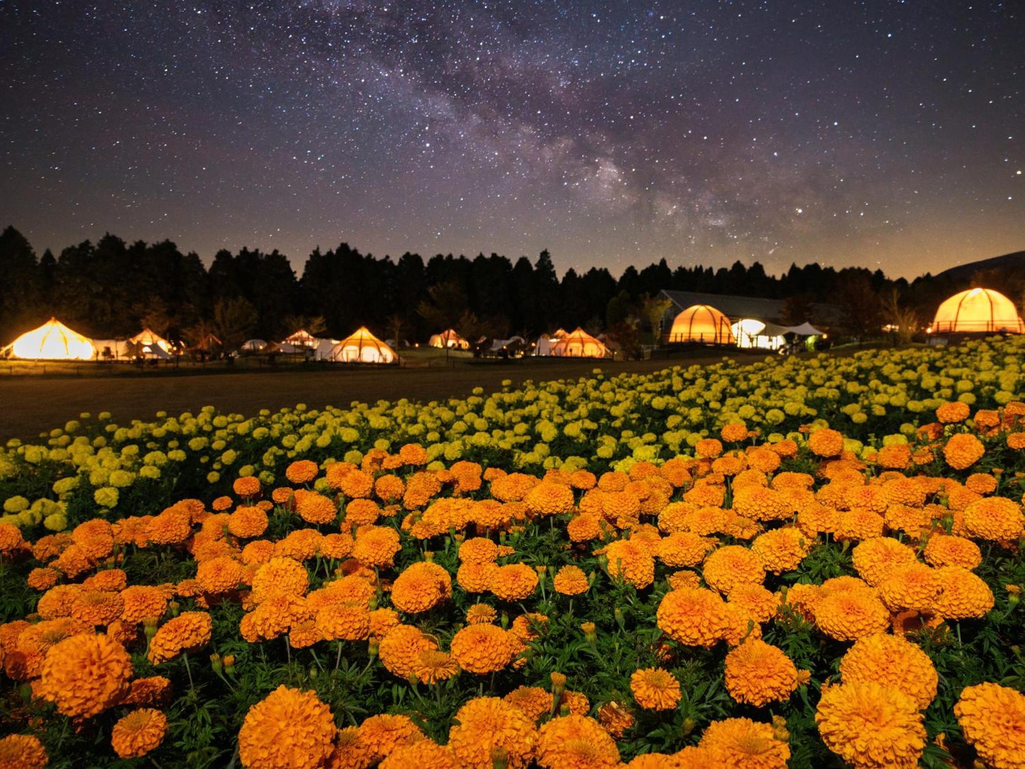 くじゅう花公園　キャンピングリゾート花と星 Kuju Zewnętrze zdjęcie