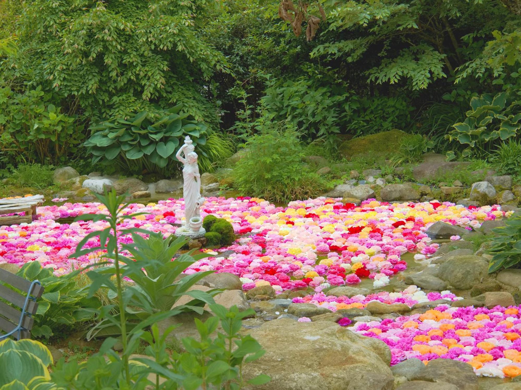 くじゅう花公園　キャンピングリゾート花と星 Kuju Zewnętrze zdjęcie