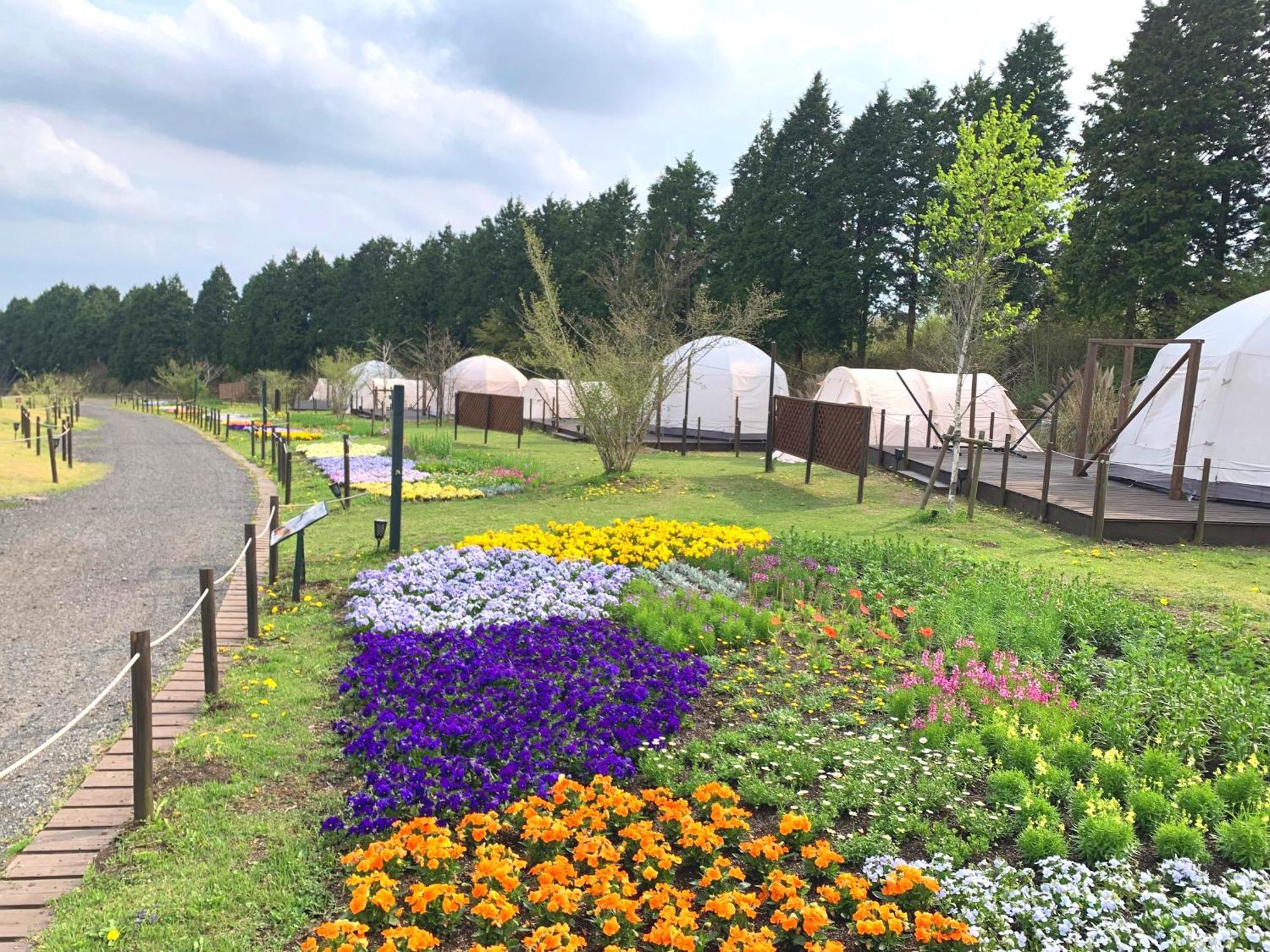 くじゅう花公園　キャンピングリゾート花と星 Kuju Zewnętrze zdjęcie