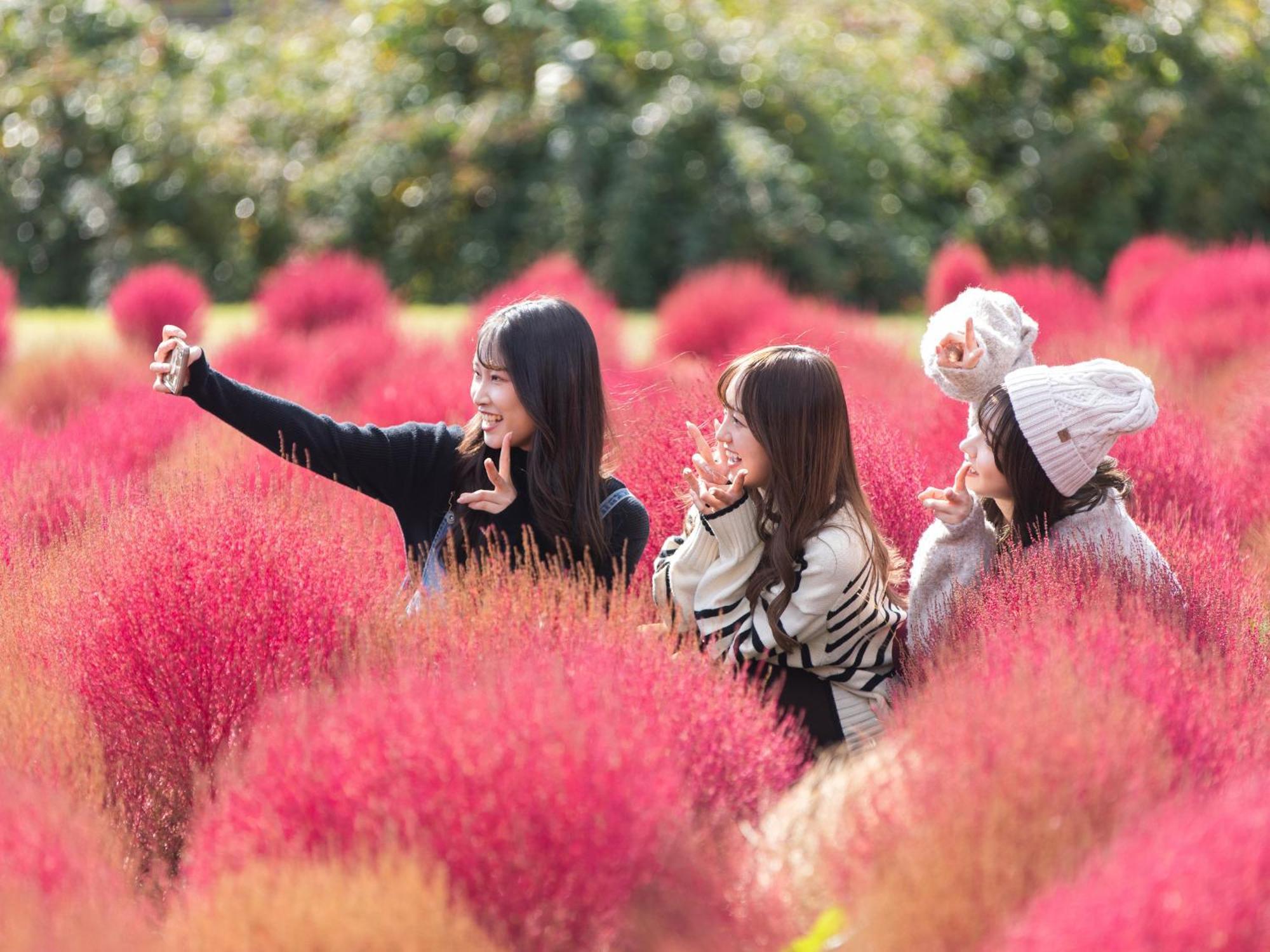 くじゅう花公園　キャンピングリゾート花と星 Kuju Zewnętrze zdjęcie