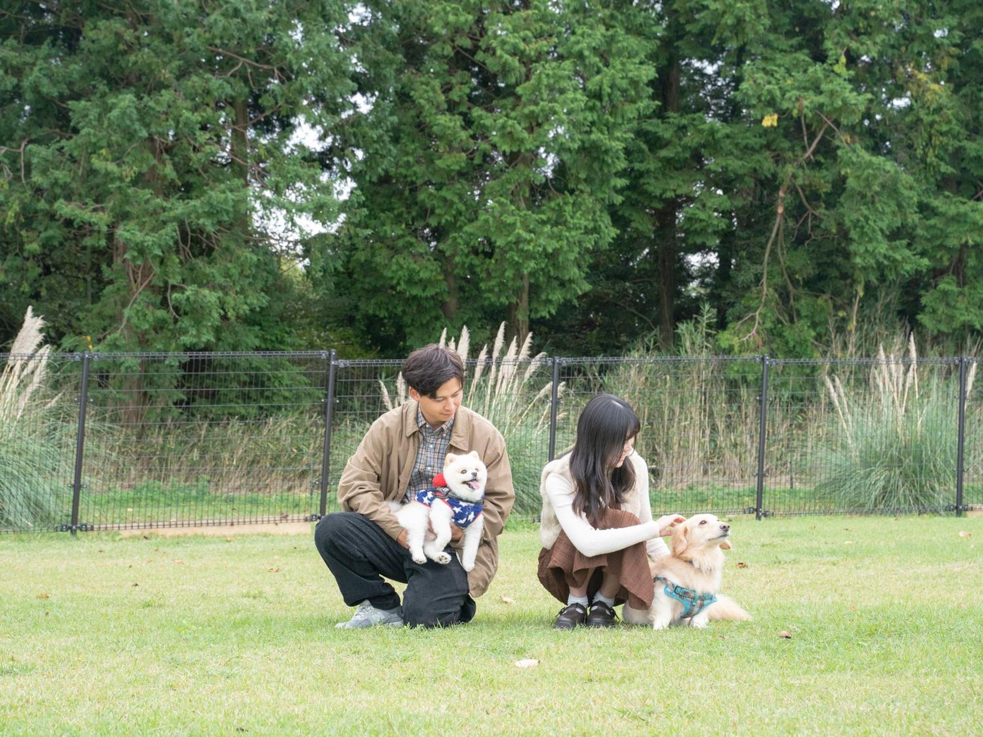 くじゅう花公園　キャンピングリゾート花と星 Kuju Zewnętrze zdjęcie