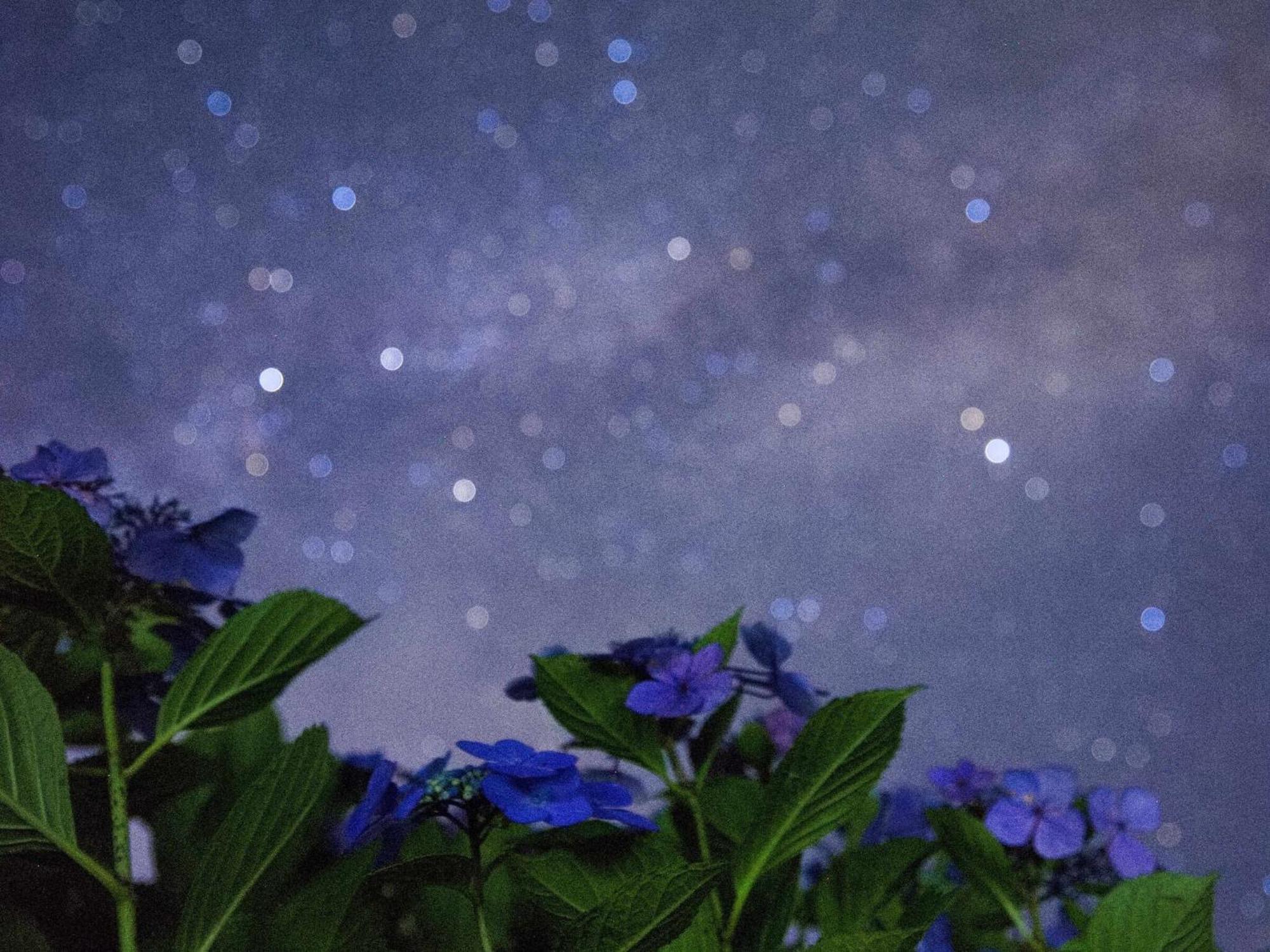 くじゅう花公園　キャンピングリゾート花と星 Kuju Zewnętrze zdjęcie