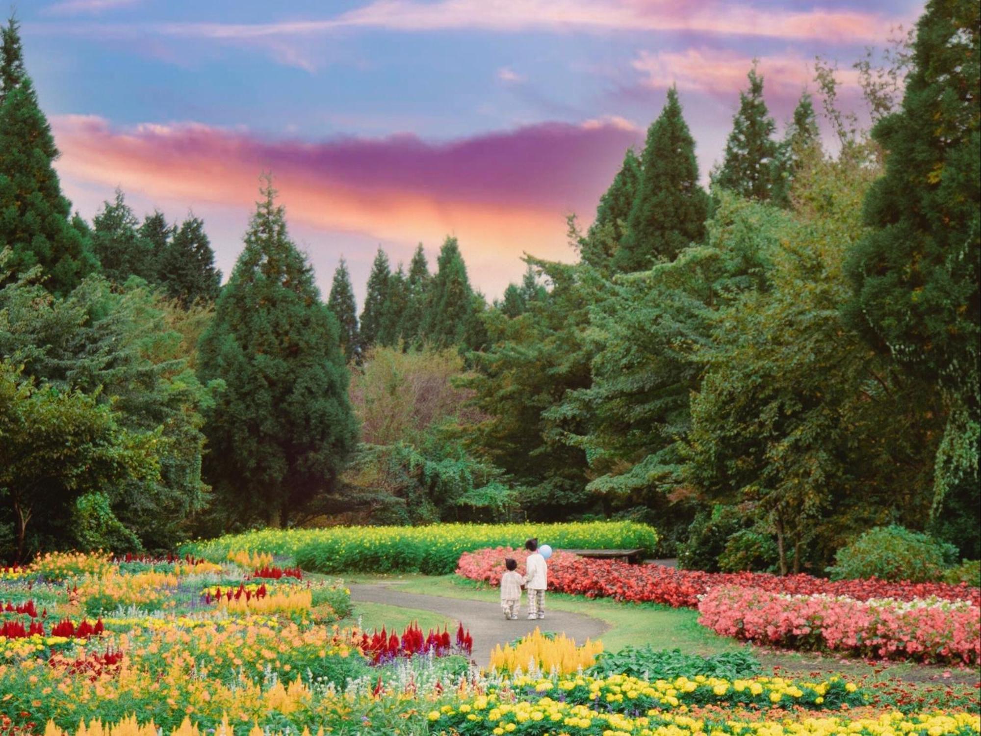 くじゅう花公園　キャンピングリゾート花と星 Kuju Zewnętrze zdjęcie